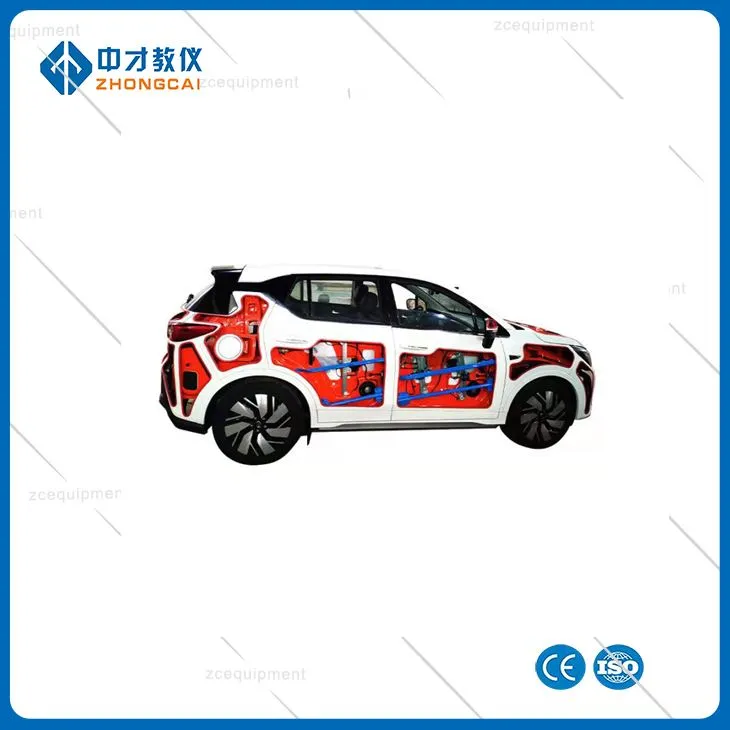 Model anatomiczny pojazdu Model szkoleniowy